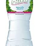 Ava Alkaine – 500 Ml