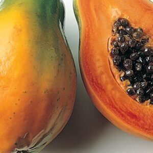 Papaya