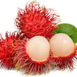 Rambutan