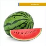 Water Melon